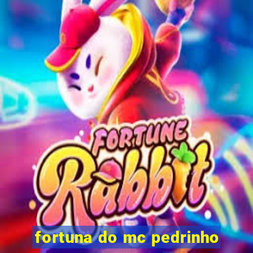 fortuna do mc pedrinho